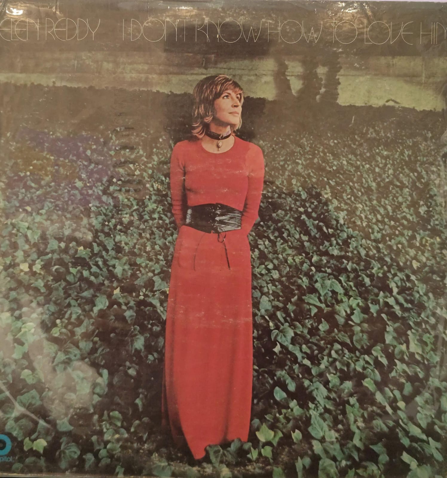Helen Reddy - I Don't Know How To Love Him