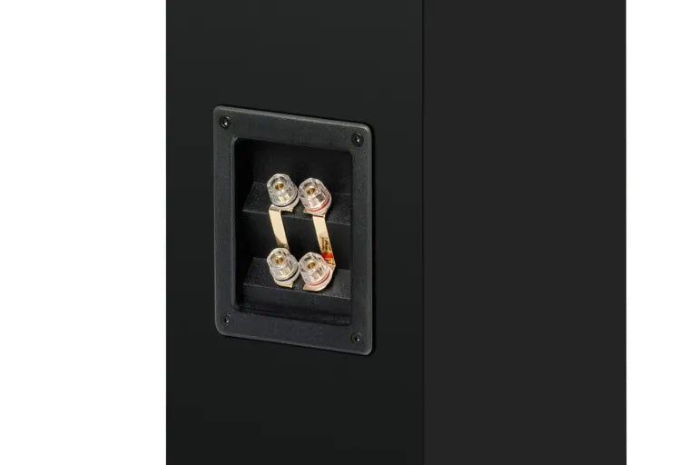 Pro-Ject - Speaker Box 12E Carbon